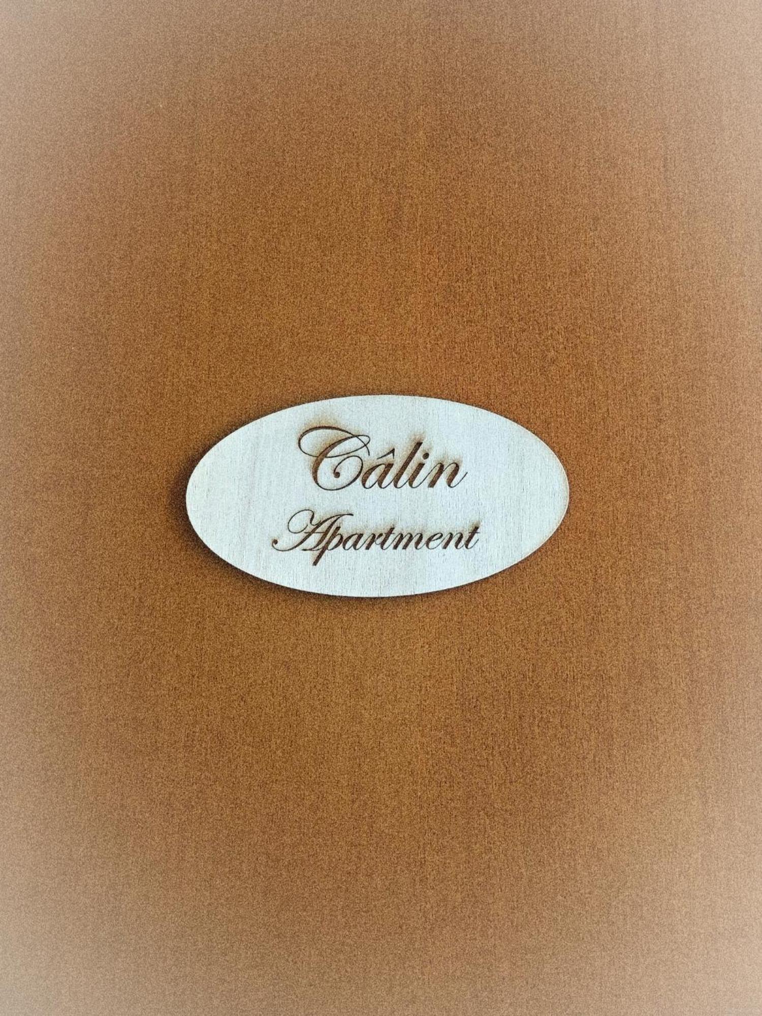 Calin Apartment 토리노 외부 사진