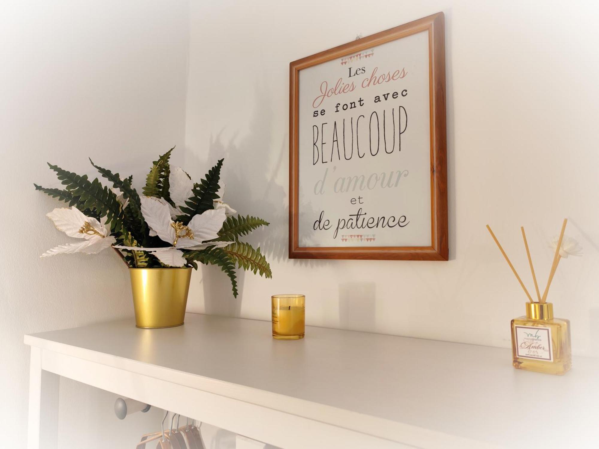 Calin Apartment 토리노 외부 사진
